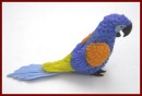 AMB104 Parrot