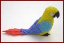 AMB111 Parrot