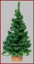 CH01 Christmas Tree